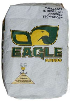Eagle Seed Ag Beans: ES 3801 RR (Midwest Full Season)