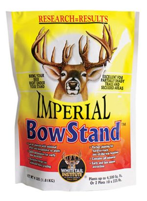 Bow Stand
